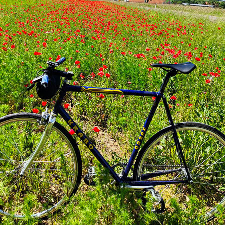 Een zwarte racefiets staat voor een veld met bloeiende rode klaprozen onder een heldere blauwe lucht. Op de achtergrond zijn enkele huizen en bomen zichtbaar.