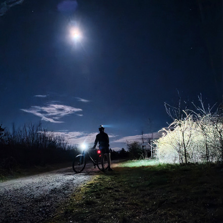 Een fietser staat 's nachts op een bospad, verlicht door het volle maanlicht en een fietslamp. De scène toont de schaduw van de fietser, omringd door donkere silhouetten van bomen.