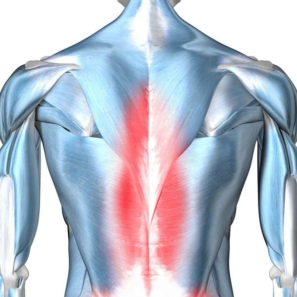 Illustratie van de anatomie van de rug bij een aanwezige lumbalgie. Daarbij gaat het om chronische pijntoestanden in de onderrug. De lumbalgie behoort tot de meest voorkomende aandoeningen in Duitsland.