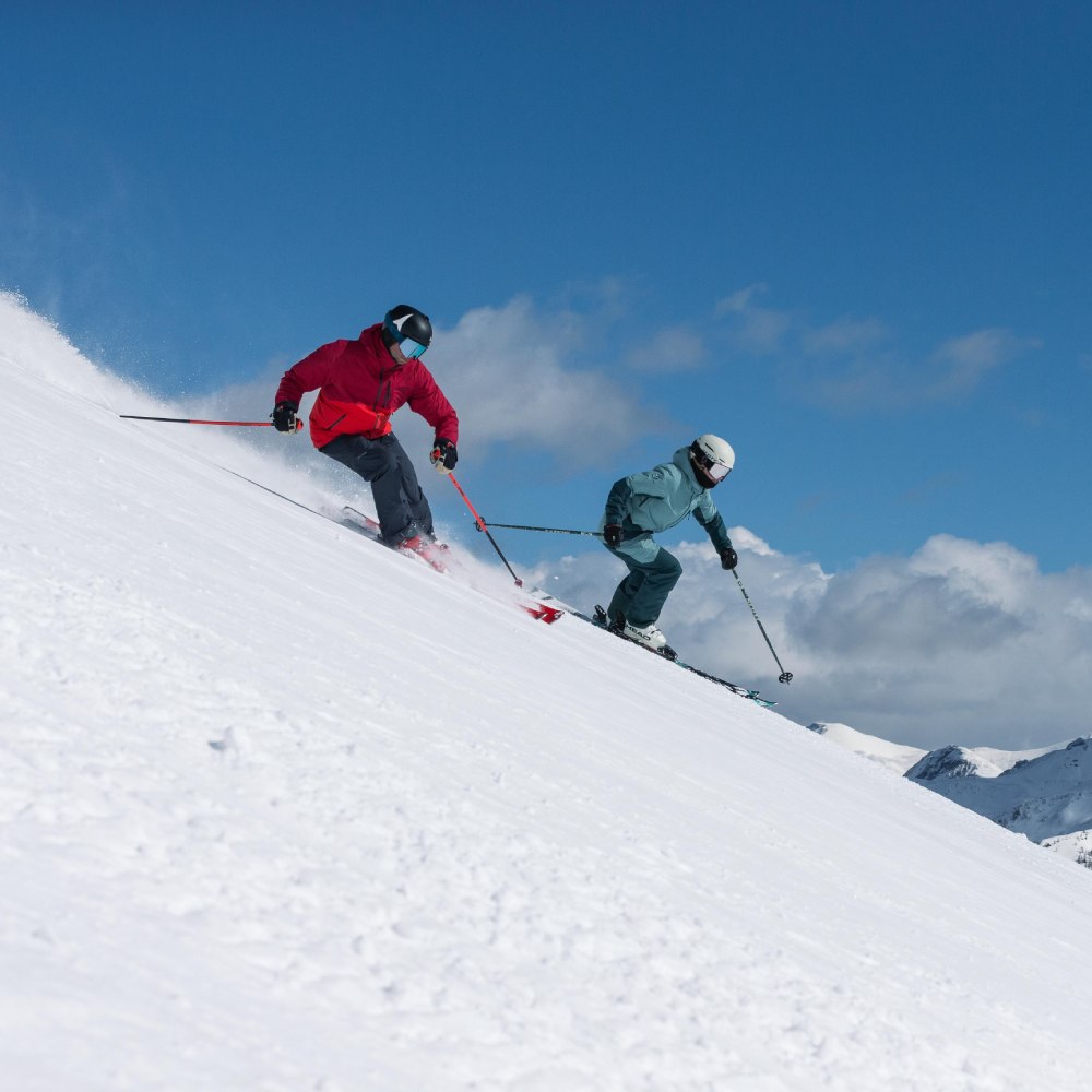 Twee skiërs in poedersneeuw op afdalingsski's