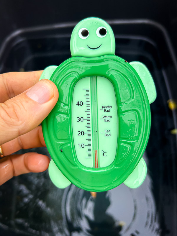 Een groen schildpad-badthermometer wordt vastgehouden in een hand. De thermometer geeft net boven 0 graden Celsius aan, met de categorieën „Kinder Bad“, „Warm Bad“ en „Kalt Bad“ op de schaal. De achtergrond toont een waterbak.