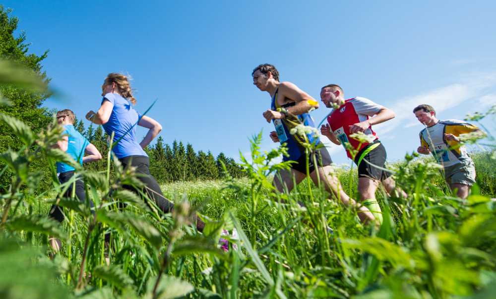 Snapshot van de racecit door het gras