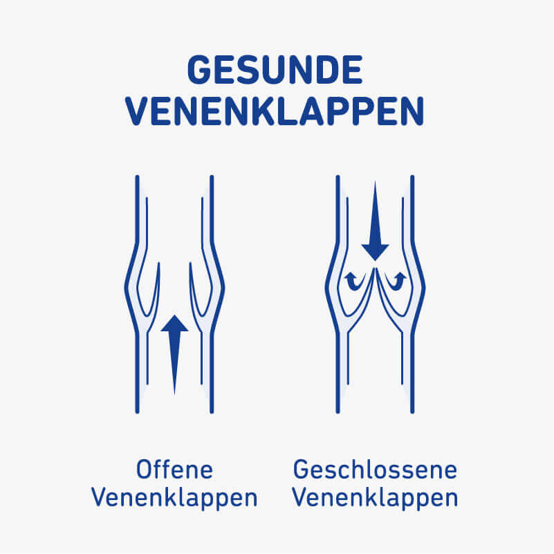 Een illustratieve afbeelding van gezonde aderkleppen.