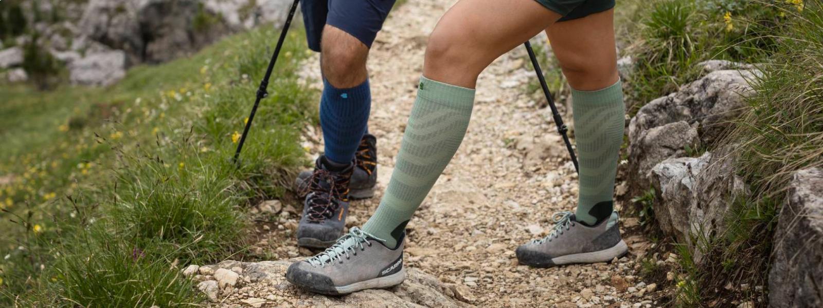 Extract van vier poten met barmhartige merino -wandelsokken op een wandelpad