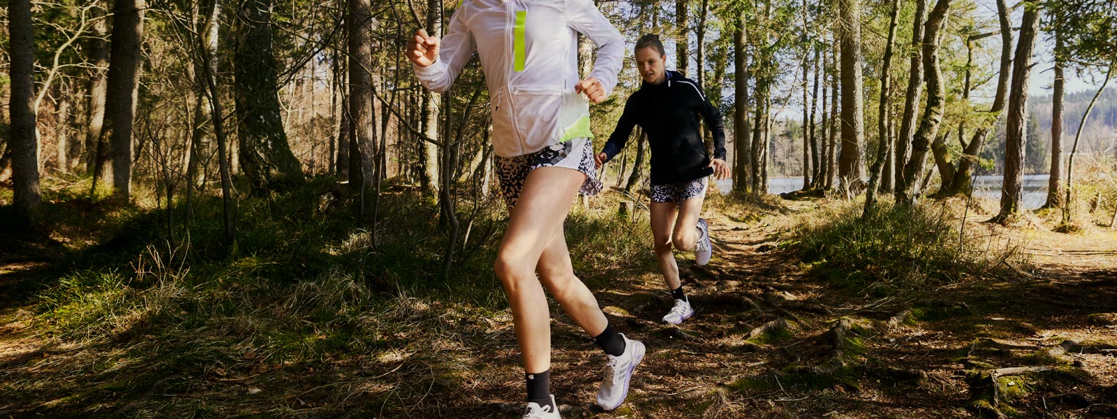 Twee lopers lopen een klein meer over een bosbodem met veel wortels op de achtergrond